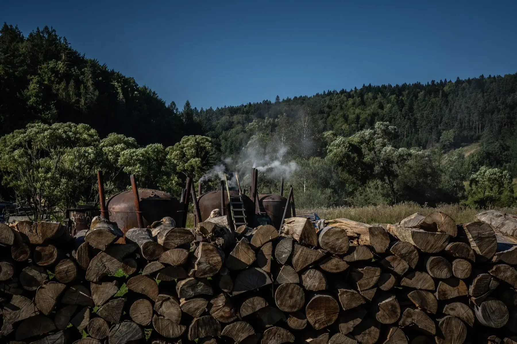 Traditionelle Verkohlungsmeiler und Holzstapel im Waldtal – Herkunft der Siek-Müller Holzkohle